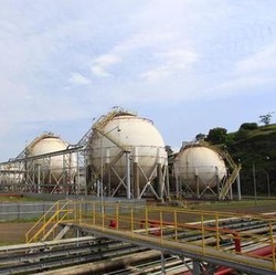 Jelang IPO, Ada Aksi Korporasi di Perusahaan Prajogo Pangestu (CDI)