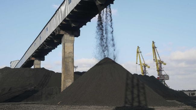 Had Ripped Five Weeks in a row, Coal Prices Collapsed