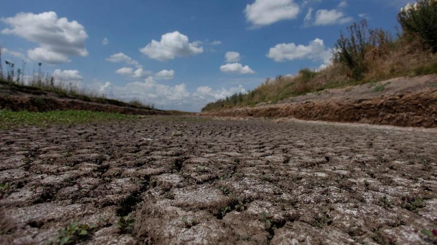Kekeringan Bikin Argentina Makin Apes