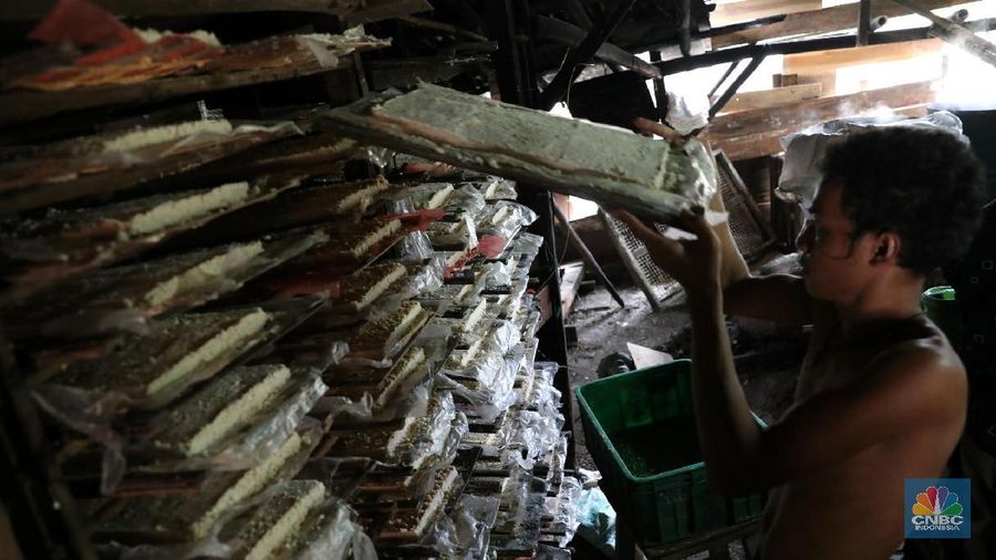 Industri golongan Usaha Mikro, Kecil dan Menengah (UMKM) tersebut memproduksi oncom untuk wilayah Jakarta dan sekitarnya dengan harga Rp 4.000 per kotak.