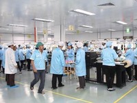Nasib Saham PTSN: Dulu Diburu, Sekarang Dibuang