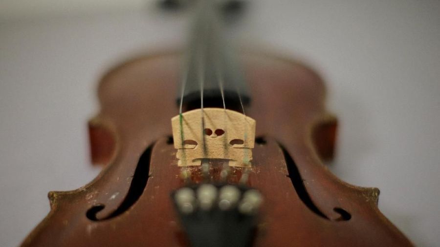 Albert Einstein's violin is seen at Bonhams auction house in New York, U.S., March 6, 2018. REUTERS/Eduardo Munoz