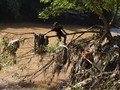 Kronologi Hilang dan Tewasnya Bos Matahari di Ciliwung
