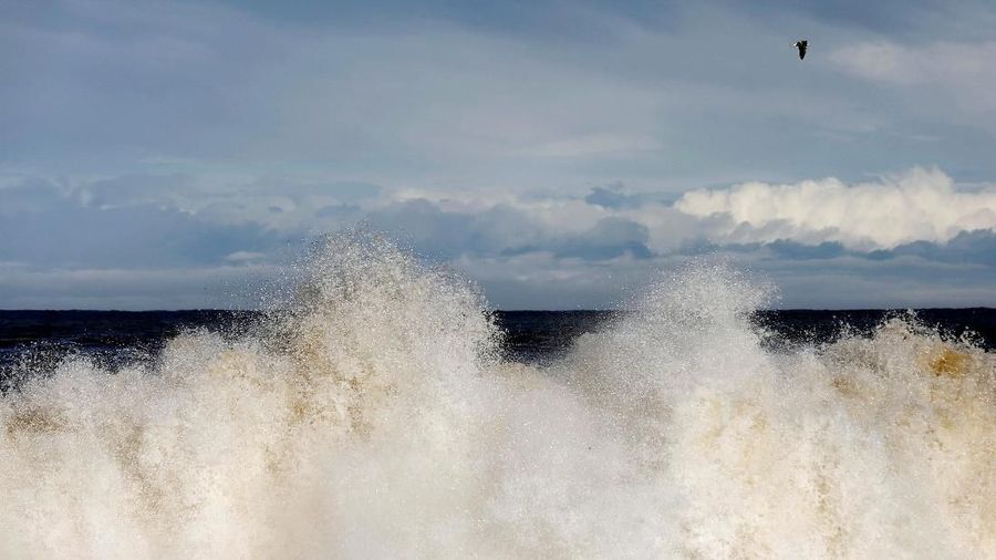 A seagull flies over a wave at Fudaihama beach in Fudai, Iwate Prefecture, Japan, March 1, 2018. REUTERS/Kim Kyung-Hoon  SEARCH 
