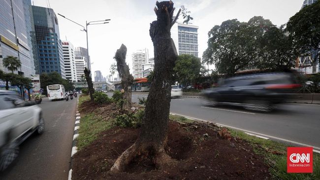 Pemindahan Ibu Kota, Lahan di Kalteng Mulai Dipetakan