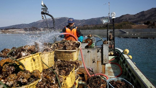 Cipir6 Tembok Tsunami Di Jepang