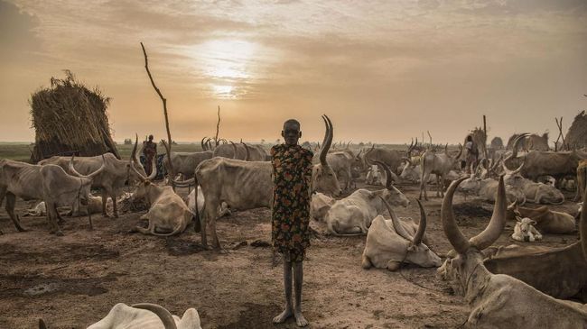 Kekeringan Di Afrika Barat 5 Juta Orang Terancam Kelaparan