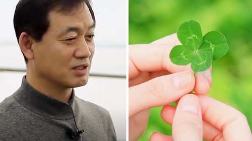 Jualan Daun, Pria Ini Berhasil dapat Penghasilan Rp 1,3 M Sebulan Jualan Daun, Pria Ini Berhasil dapat Penghasilan Rp 1,3 M Sebulan