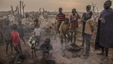 Ketika musim kering datang, para gembala dari suku Dinka di Sudan Selatan menggiring peliharaan mereka ke pinggir Sungai Nil dan mendirikan tenda di sana. Namun ternyata, daerah tersebut juga dilanda kekeringan. (AFP Photo/Stefanie Glinski)