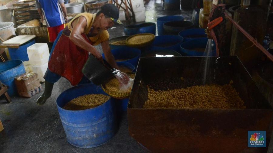 Impor kedelai setiap tahunnya meningkat 3% ini dipicu oleh peningkatkan kebutuhan, khususnya untuk kebutuhan bahan baku tahu dan tempe.