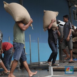 Pak Jokowi, Impor Gula Cuma Untungkan Pemburu Rente Lho
