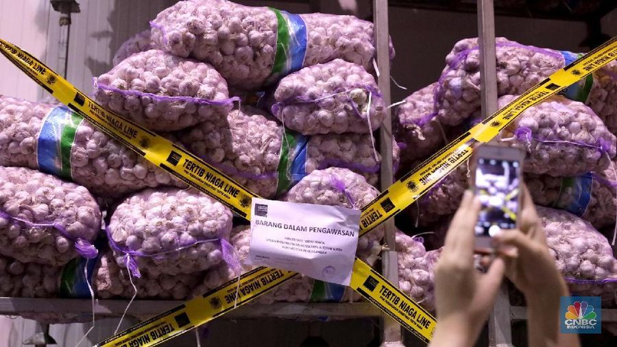 Kemendag amankan 5 ton (254 karung) bibit bawang putih impor ilegal.