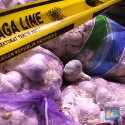 Impor Bawang Putih Berujung ke KPK, Buwas: Bukti ada Mafia
