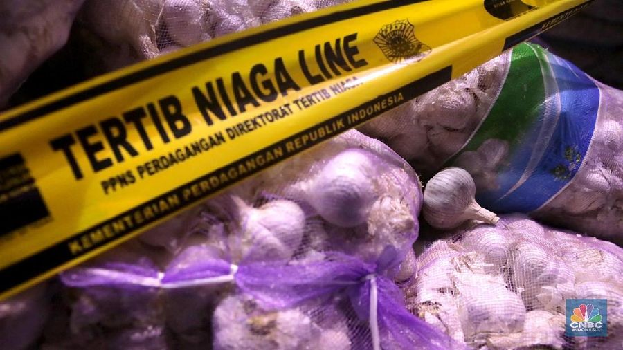 Kemendag amankan 5 ton (254 karung) bibit bawang putih impor ilegal.