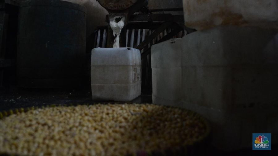 Impor kedelai setiap tahunnya meningkat 3% ini dipicu oleh peningkatkan kebutuhan, khususnya untuk kebutuhan bahan baku tahu dan tempe.