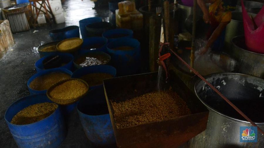 Impor kedelai setiap tahunnya meningkat 3% ini dipicu oleh peningkatkan kebutuhan, khususnya untuk kebutuhan bahan baku tahu dan tempe.