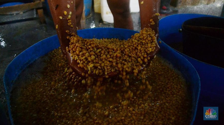 Impor kedelai setiap tahunnya meningkat 3% ini dipicu oleh peningkatkan kebutuhan, khususnya untuk kebutuhan bahan baku tahu dan tempe.