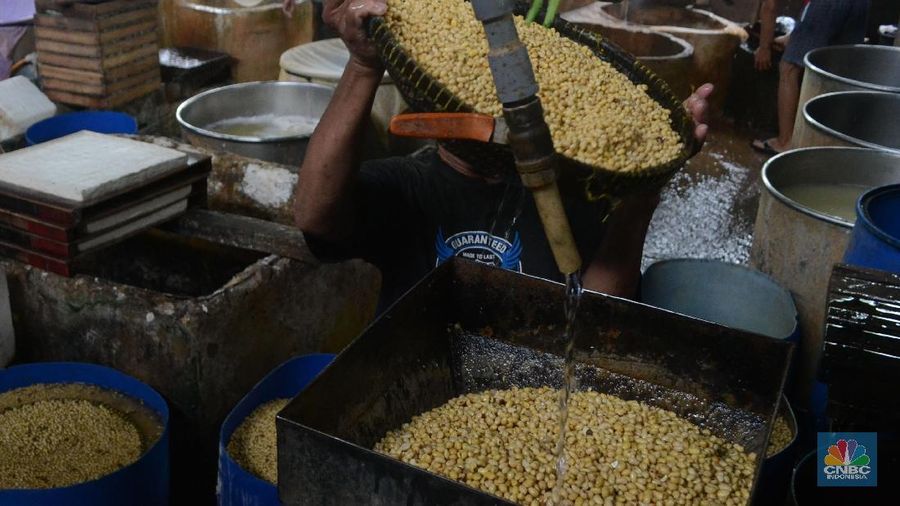 Impor kedelai setiap tahunnya meningkat 3% ini dipicu oleh peningkatkan kebutuhan, khususnya untuk kebutuhan bahan baku tahu dan tempe.