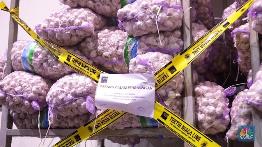 Bibit bawang putih tidak diperbolehkan untuk dijual di pasar.