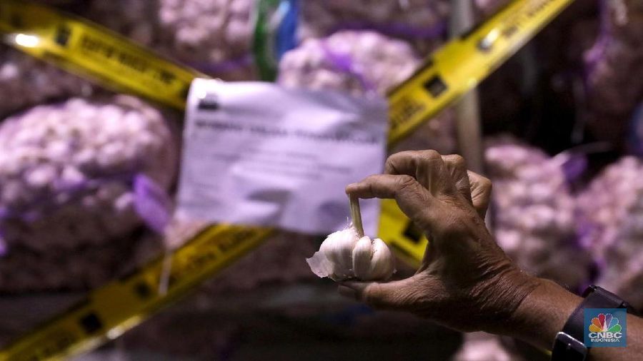 Kemendag amankan 5 ton (254 karung) bibit bawang putih impor ilegal.