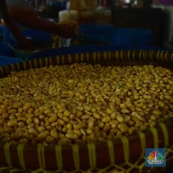 Bulog akan Borong Kedelai Impor 350 Ribu Ton, Harga Murah?