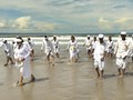 Skala 1-100, Indeks Kesehatan Laut Bali Nilainya 51