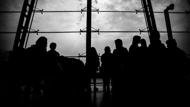 Lakon Ribuan TKA Ilegal China Mengadu Nasib di Indonesia
