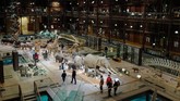 Museum ini juga memiliki misi menyebarkan ilmu naturalis kepada seluruh pengunjung berbagai lapisan melalui serangkaian kegiatan. (AFP PHOTO / Ludovic MARIN)