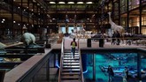 The French National Museum of Natural History sejatinya telah ada sejak 1635 pada era Louis XIII. Namun baru pada 1793 setelah Revolusi Perancis, museum ini resmi berdiri. (AFP PHOTO / Ludovic MARIN)