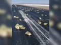 VIDEO: 'Hujan' Batangan Emas di Bandara Rusia