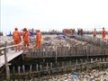 VIDEO: Pembersihan Lautan Sampah Muara Angke