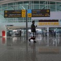 Corona di RI 'Meledak', Program Work From Bali Jadi?