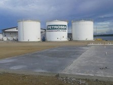 Dua Hari Saham Petrosea Ambles & Sentuh ARB, Ada Apa?