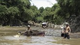 Para penambang pasir nekat terjun ke sungai di bantaran Sungai Citarum di Desa Parigi, Ciparay, Bandung, Jawa Barat. (Anadolu Agency/Eko Siswono)
