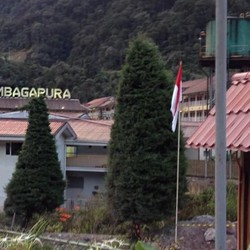 Menteri LHK Masih Hitung Kerugian Negara akibat Freeport