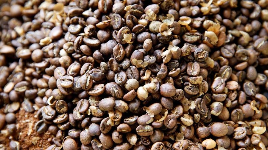 Ketiga negara Afrika ini komoditas utama Indonesia yang di ekspor adalah kopi, benang, minyak sawit, minyak kelapa (kopra) dan senyawa animo.