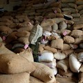 Satu Lagi! RI Dipecundangi Vietnam untuk Sektor Ini