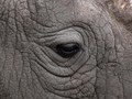 FOTO: Selamat Tinggal Sudan