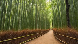 5 Destinasi Wisata Menarik di Bulan April