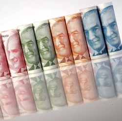Bank Sentral Tahan Suku Bunga, Mata Uang Turki Anjlok 3,5%