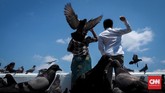 Burung merpati menjadi obyek buruan yang populer dalam fotografi jalanan. Ratusan burung merpati di Kuil Budha Wat Rakang yang berada di tepi Sungai Praya Bangkok pilihan yang pas untuk memotret fotografi jalanan. Waktu terbaik adalah pagi atau sore hari.