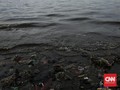 1,29 Juta Metrik Ton Sampah dari Indonesia Masuk ke Laut