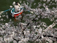 Biaya Visa Jepang Naik Mulai 1 April 2026, Cek Harga Barunya