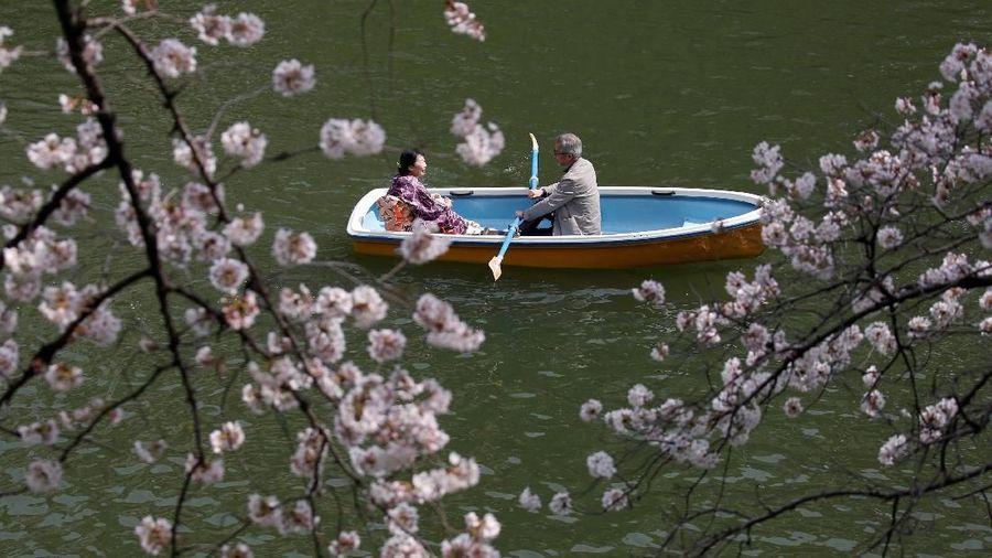 Visitors ride a boat in the Chidorigafuchi moat, as they enjoy fully bloomed cherry blossoms, during spring season in Tokyo, Japan March 26, 2018. REUTERS/Issei Kato
