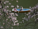 Pemerintah Jepang Mau Jodohkan Warganya yang Pada Ogah Nikah