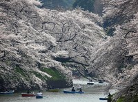 Liburan ke Jepang Makin Mahal, Turis Asing Wajib Bayar Pajak Baru