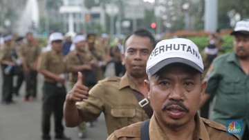 Punya Lahan 2 4 Juta Hektar Begini Nasib Bisnis Perhutani