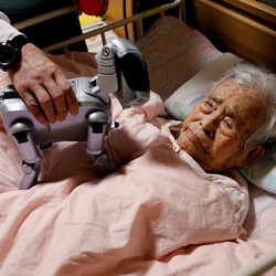 Miris! Lansia Jepang Kompak Mau Masuk Penjara Gegara Ini