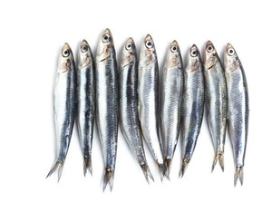 Waspadai! Ini 5 Daftar Ikan yang Mengandung Merkuri Tinggi