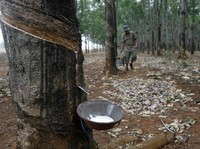 Harga Karet Capai Rekor Baru, 5 Emiten Ini Kecipratan Cuan